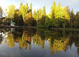 Bad Elster Apartment in Sohl