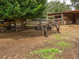 Farmhouse in Verbania With Garden
