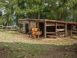Farmhouse in Verbania With Garden