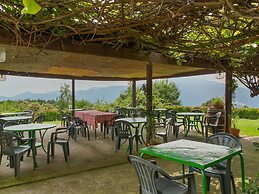 Farmhouse in Verbania With Garden