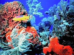 Belvilla by OYO Quattro Colonne Due