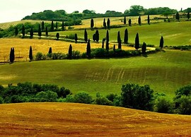 Quaint Tuscan Farmhouse