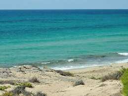 Farm Near the Beautiful Ionian Sea, in the Beautiful Salento