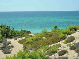 Farm Near the Beautiful Ionian Sea, in the Beautiful Salento