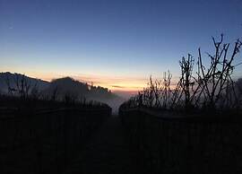 Apartment in Kniebis With Garden Seating Area