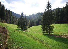 Apartment in Kniebis With Garden Seating Area