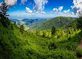 Apartment in Kniebis With Garden Seating Area