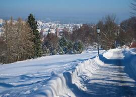 Apartment in Kniebis With Garden Seating Area