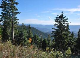 Apartment in Kniebis With Garden Seating Area