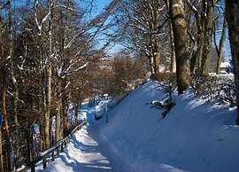 Apartment in Kniebis With Garden Seating Area