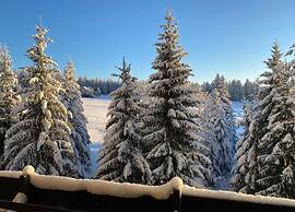 Apartment in Kniebis With Garden Seating Area