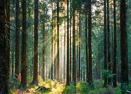 Apartment in Kniebis With Garden Seating Area