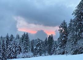 Apartment in Kniebis With Garden Seating Area