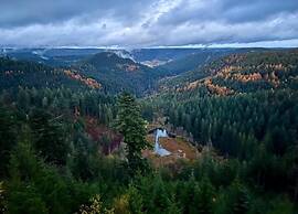 Apartment in Kniebis With Garden Seating Area