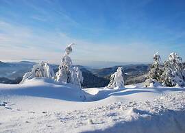 Apartment in Kniebis With Garden Seating Area