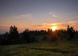 Spacious Group Home near Winterberg & Willingen with Private Garden