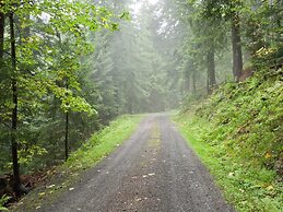 Holiday Home Near the Forest in Oppenau