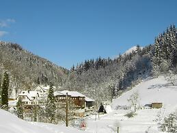 Holiday Home Near the Forest in Oppenau