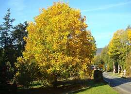 Ferienwohnung mit Sauna