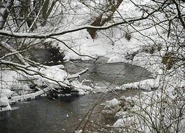 Ferienwohnung mit Sauna