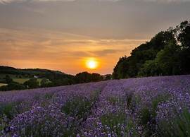 Ferienwohnung mit Sauna