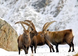 Apartment With Scenic View