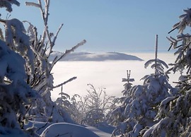 Comfy Apartment in Salmensbach near River