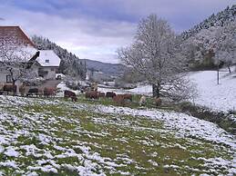 Comfy Apartment in Salmensbach near River