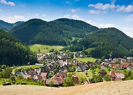 Comfy Apartment in Salmensbach near River