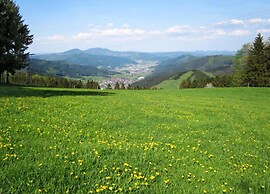 Comfy Apartment in Salmensbach near River