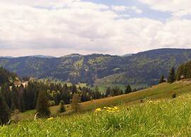 Comfy Apartment in Salmensbach near River