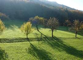 Comfy Apartment in Salmensbach near River
