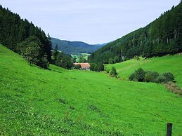 Comfy Apartment in Salmensbach near River