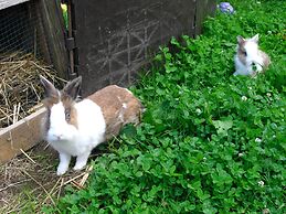 Comfy Apartment in Salmensbach near River