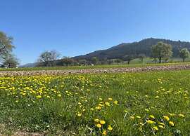 Comfy Apartment in Salmensbach near River