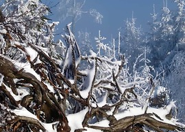 Comfy Apartment in Salmensbach near River