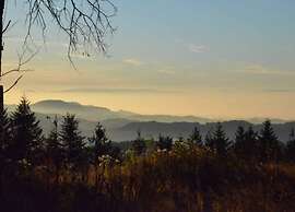 Comfy Apartment in Salmensbach near River