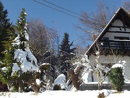 Detached House at 100m Distance of the Lake