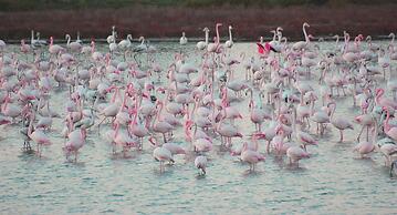 Belvilla by OYO Lucrezia Uno