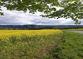 Holiday Home Right in the Heart Saxon Switzerland
