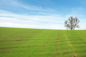 Charming Apartment in Wildemann With Garden