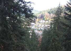 Am Stulzenhof Apartment With Balcony