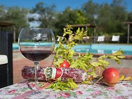 Romantic Farmhouse near Medieval Village of Montaione