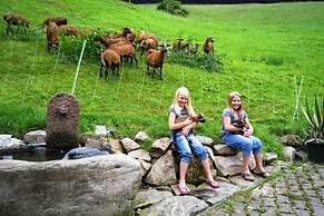 Apartment in Hofstetten Surrounded by Nature