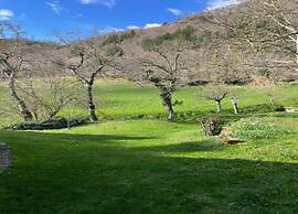 Holiday Home in Pelago With Garden