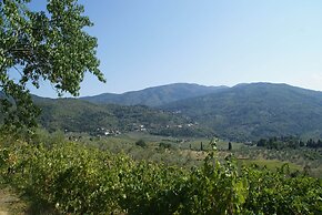 Holiday Home in Pelago With Garden