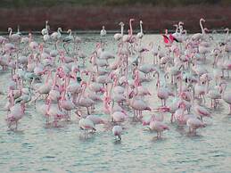 Sun Drenched Seaside Holiday Home near Venice