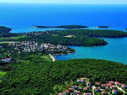 Charming Apartment in Banjole Near Sea