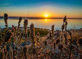 Relax & Explore in Dalmatia