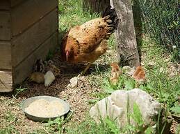 Belvilla by OYO Casa Visietto